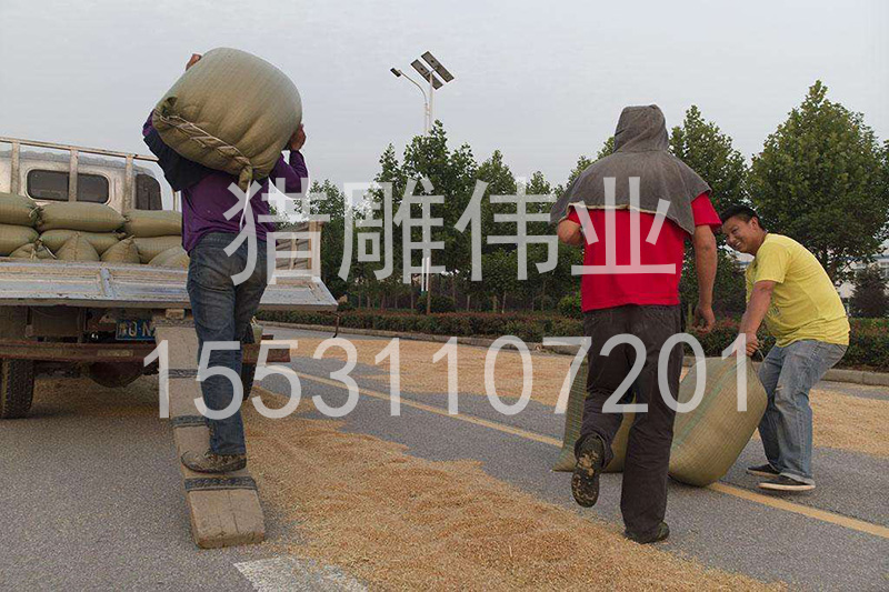 室內(nèi)外小吊機(jī)